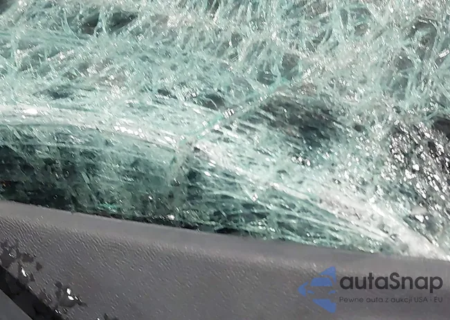 1FTPW14V19FB13720: 44261381