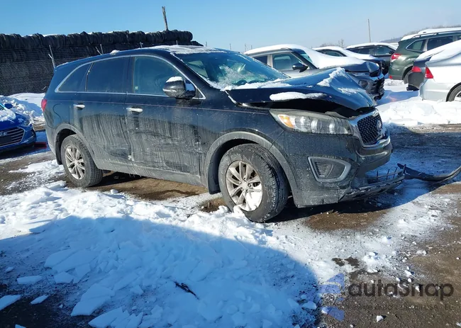 5XYPG4A3XGG068093: 44260735