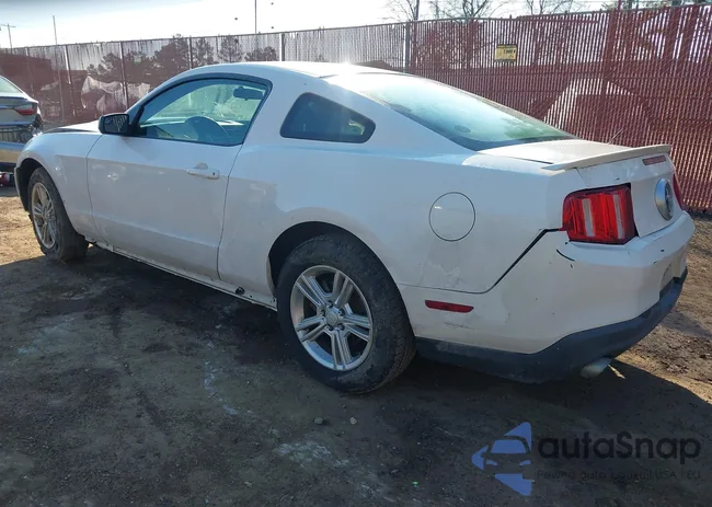 1ZVBP8AM9B5103876: 44260839