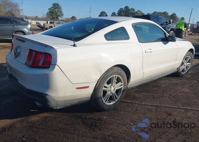 1ZVBP8AM9B5103876: 44260839