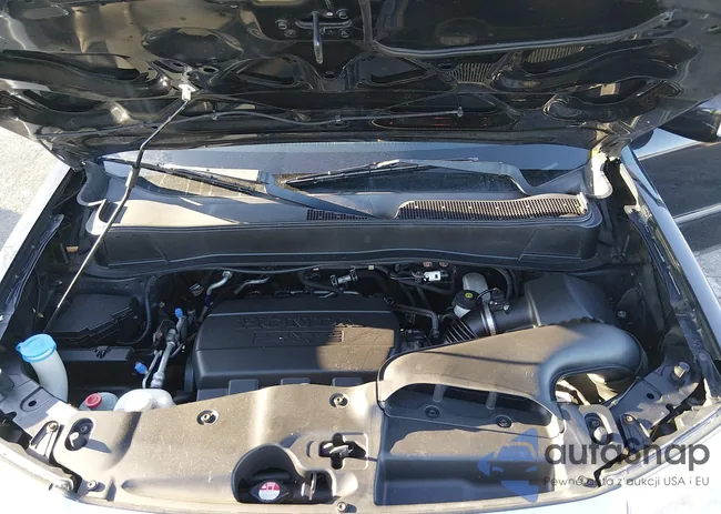 5FNYF4H90EB028935: 44262242