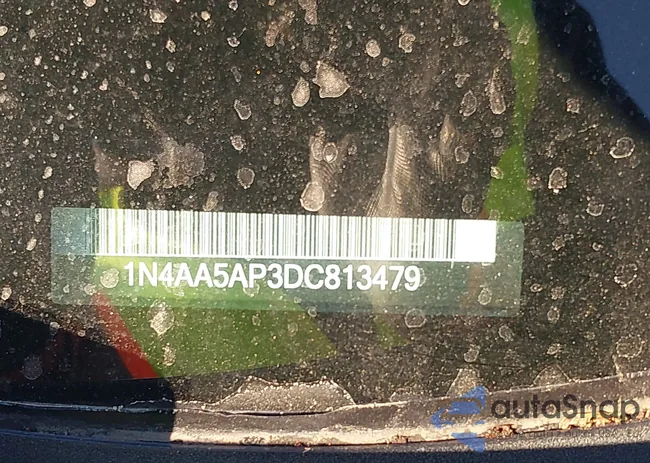 1N4AA5AP3DC813479: 44262348