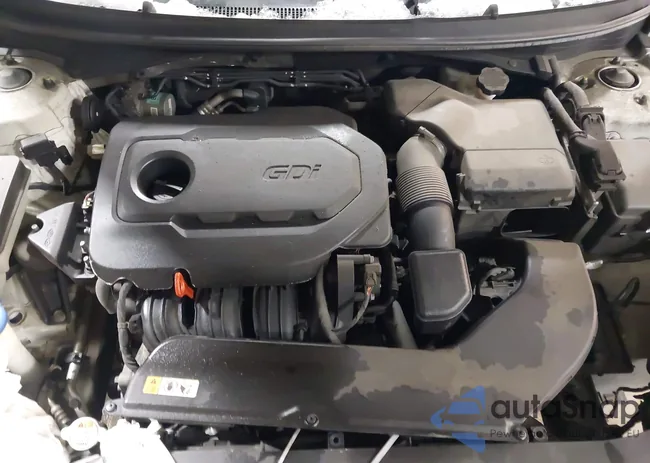 5NPE24AF5FH130376: 44263242