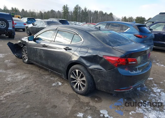 19UUB1F39FA016155: 44263493