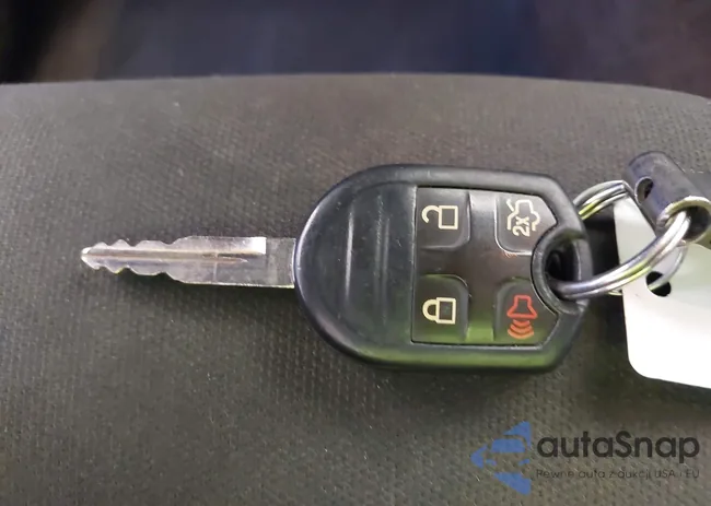 1ZVBP8AM2D5282085: 44263650