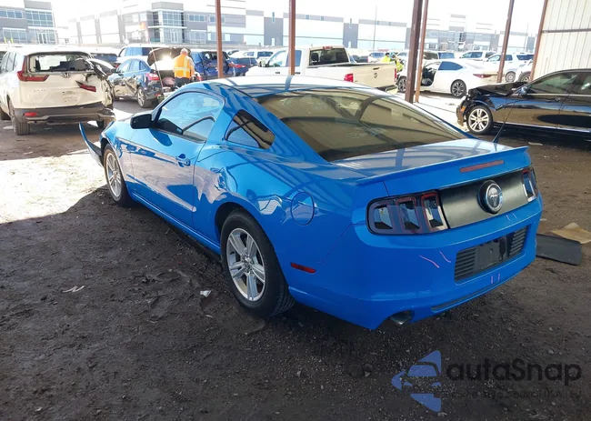 1ZVBP8AM2D5282085: 44263650