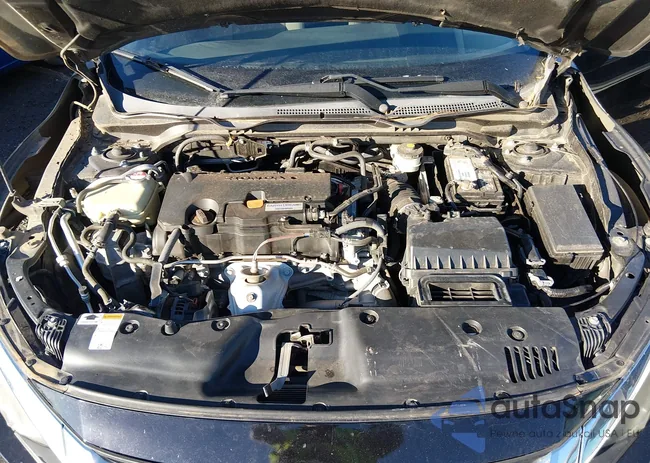 19XFC2F59GE095661: 44264195