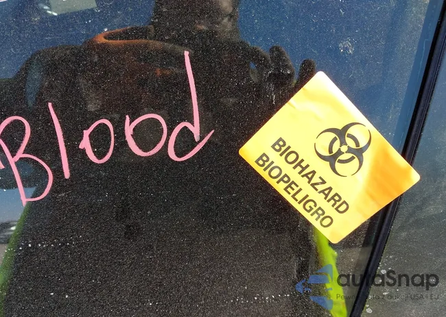 JM1BL1L75D1725611: 44264379