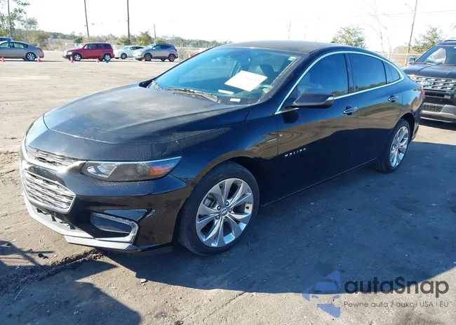 1G1ZH5SX1HF126571: 44264450