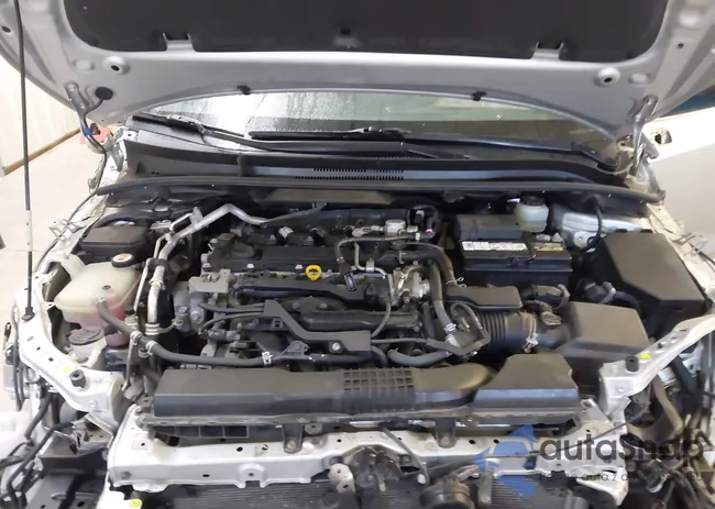 JTNK4RBE5K3056443: 44264524