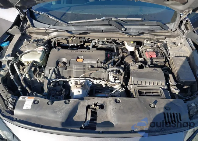 2HGFC2F84KH523449: 44264636