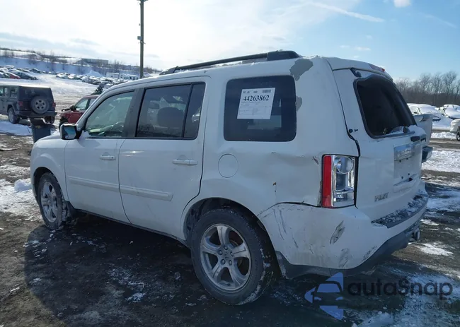 5FNYF4H53DB016256: 44263862