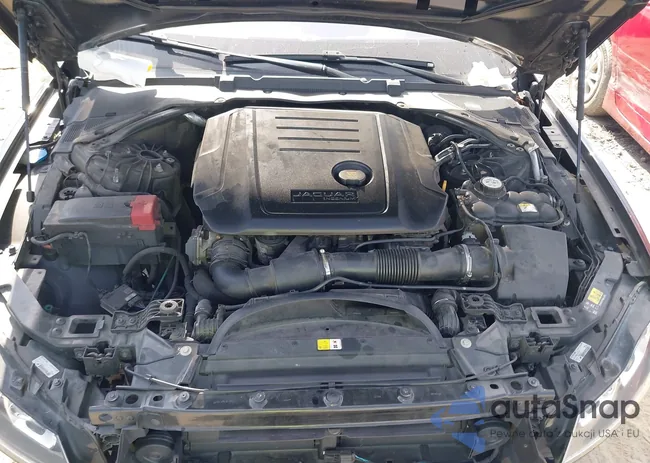 SAJBK4FN9JCY56539: 44265367