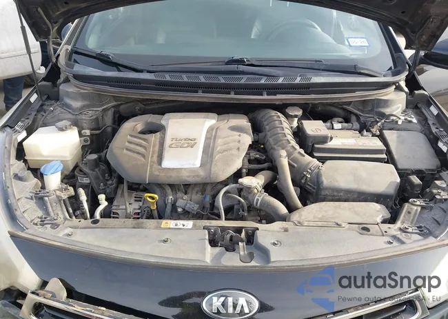 KNAFZ5A39G5583703: 44265437