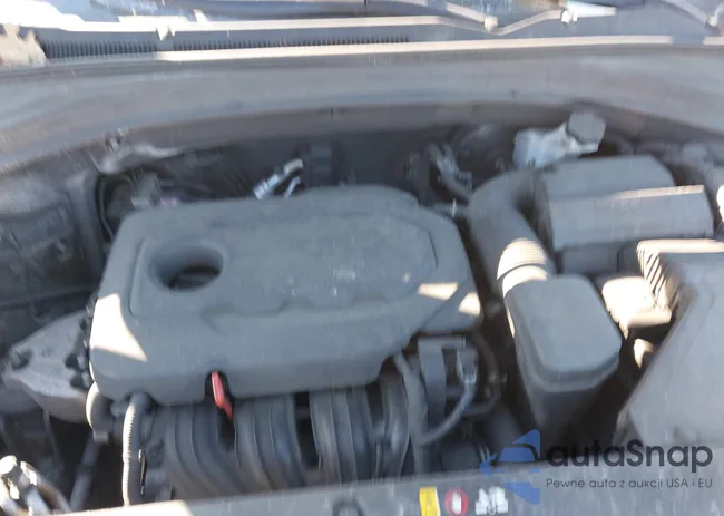 5NMS2CAD3LH297727: 44264831