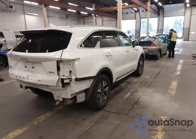 KNDRGDLGXN5123379: 44265067