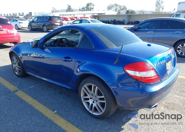 WDBWK54F49F209508: 44266261