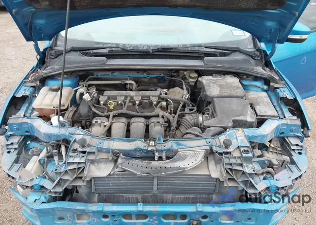 1FADP3F21FL385007: 44266488