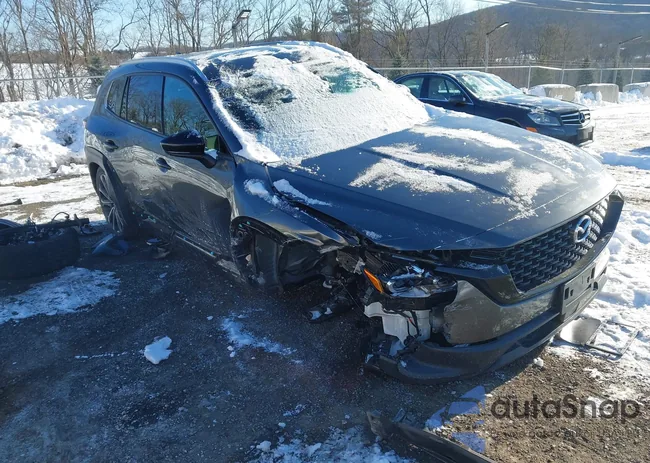 7MMVABEM0PN138306: 44266502