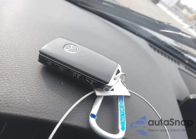 3MZBPABM6PM371095: 44267449