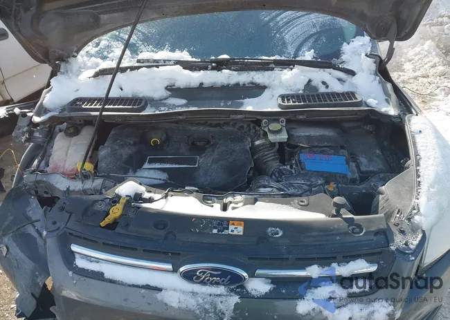 1FMCU0G98FUB32409: 44267530