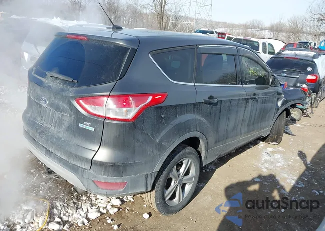 1FMCU0G98FUB32409: 44267530