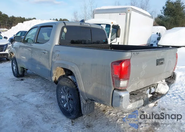 3TMCZ5AN8MM377995: 44267613