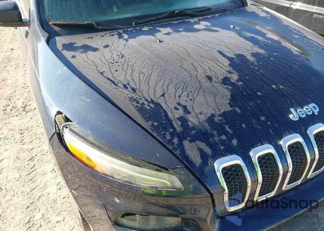 1C4PJLDB1EW202732: 44267616