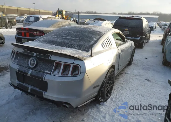 1ZVBP8AM8E5265745: 44267654