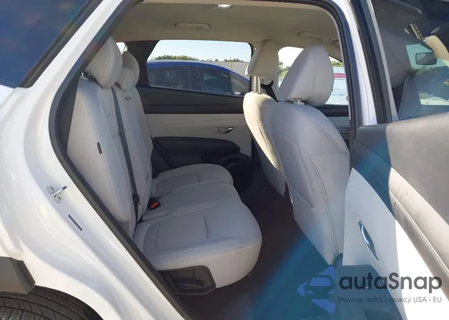 5NMJBCDE6TH642863: 44268546