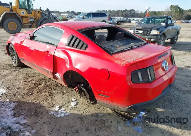 1ZVBP8AM0C5264280: 44269154