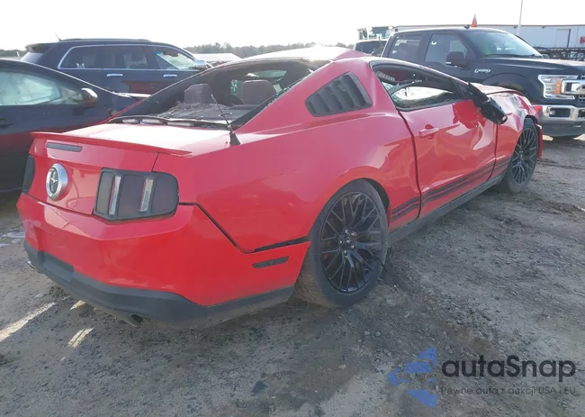 1ZVBP8AM0C5264280: 44269154