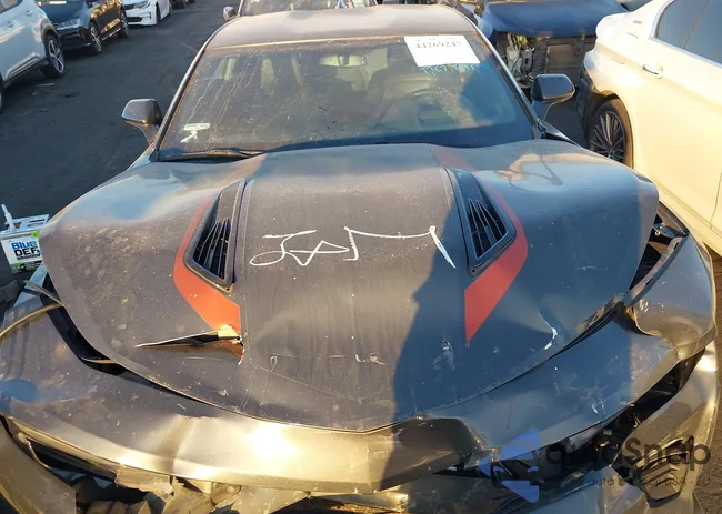 1G1FG1R71H0124231: 44269247