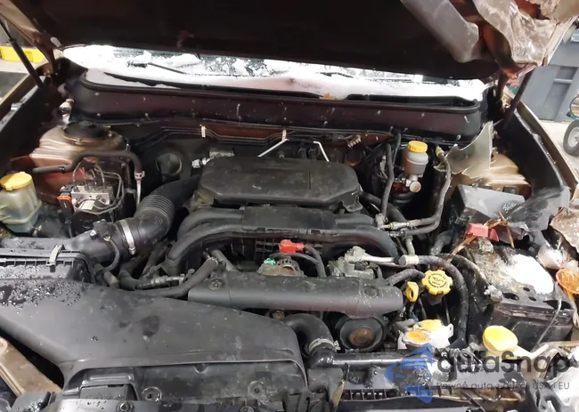 4S4BRCKC5B3370851: 44269606