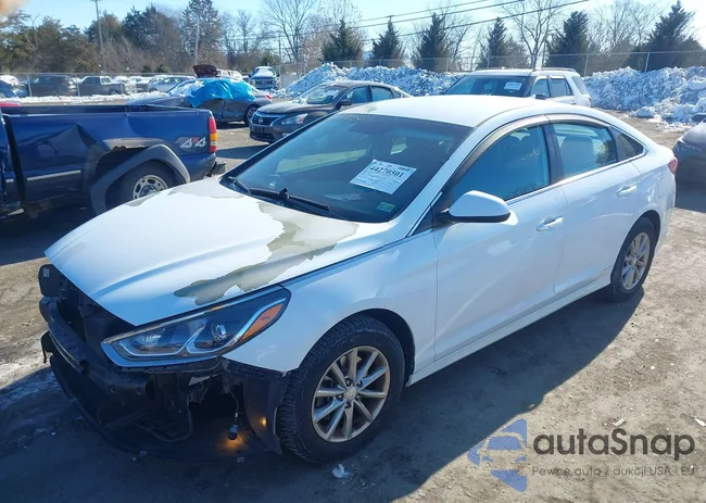 5NPE24AF0KH743659: 44270501