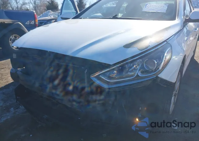 5NPE24AF0KH743659: 44270501