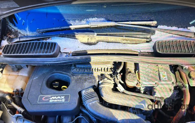 1FADP5CU4FL100768: 44269868