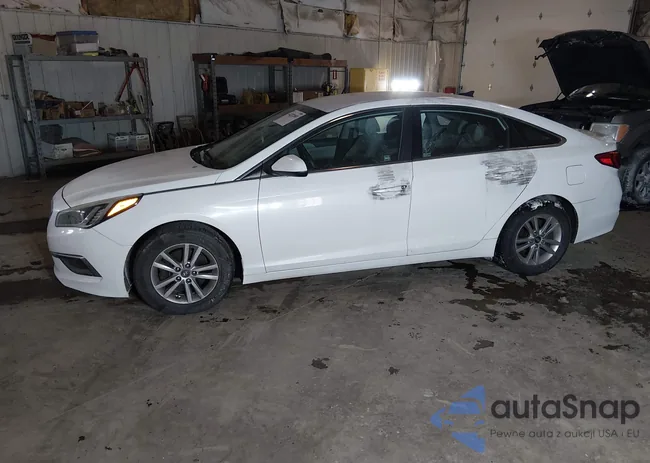 5NPE24AF1GH344136: 44272083