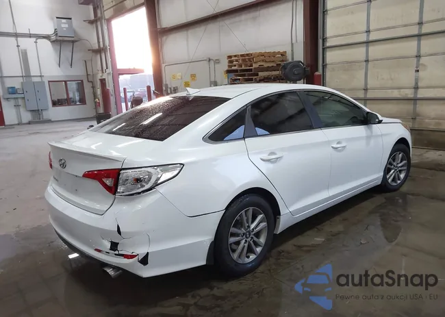 5NPE24AF5FH219431: 44272594