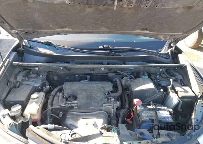 JTMBFREV5JJ744916: 44273662