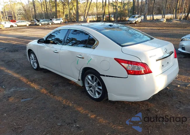 1N4AA5AP2BC824101: 44273829