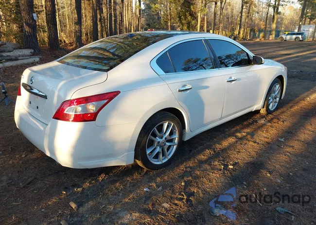 1N4AA5AP2BC824101: 44273829