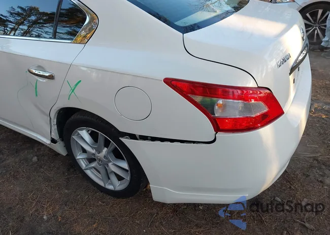 1N4AA5AP2BC824101: 44273829