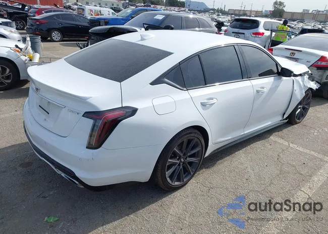 1G6DP5RKXM0146574: 44273980