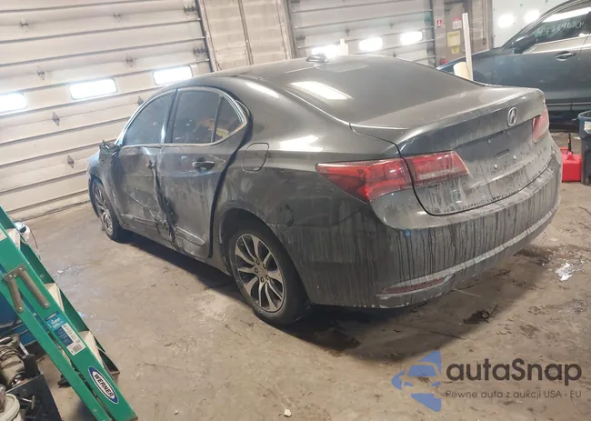 19UUB1F30GA003439: 44274873