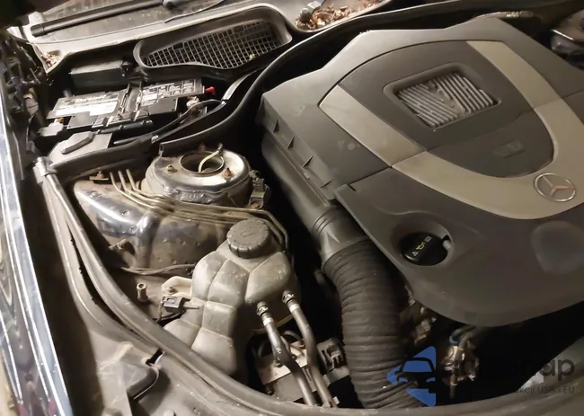 WDDNG86X69A244866: 44276091