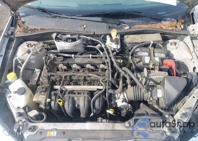 1FAHP3FN3AW171218: 44276445