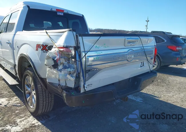 1FTEW1EG1HFB47517: 44276573