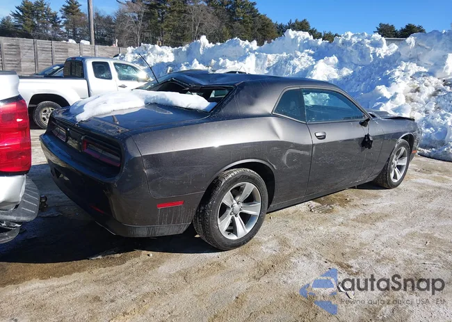 2C3CDZAG1LH146431: 44277491