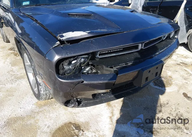 2C3CDZAG1LH146431: 44277491